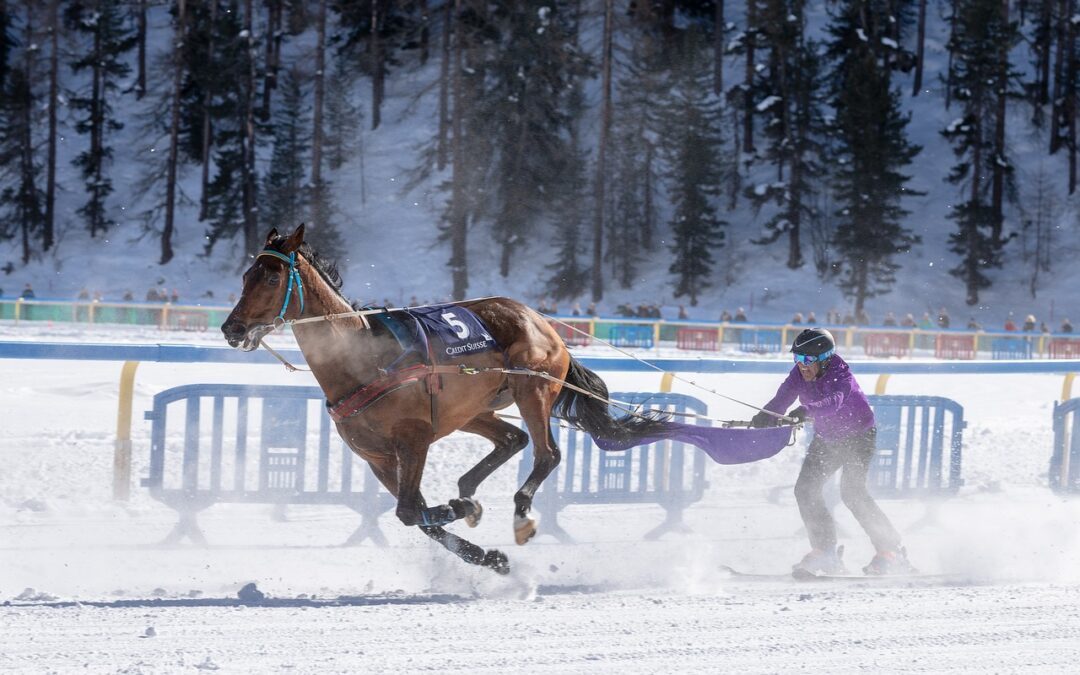 White Turf St. Moritz: Where Adrenaline Dances with Aristocracy