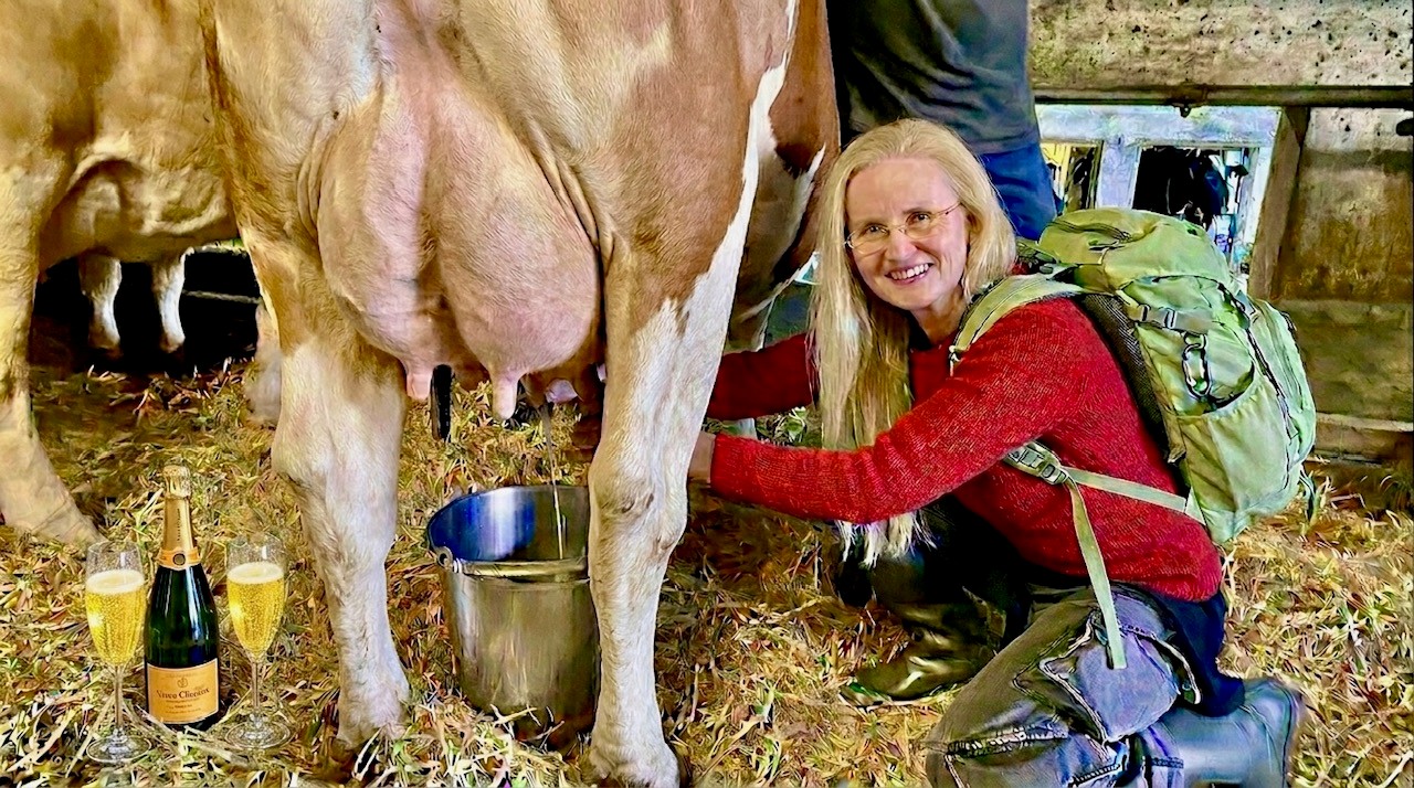 VIP Cow Milking – Swiss Luxury Without Limits VIP Cow Milking – Swiss Luxury Without Limits