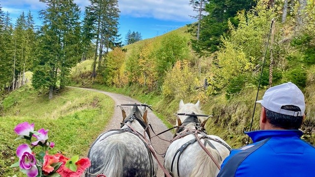 Rigi Horse-Drawn Carriage Ride Rigi Horse-Drawn Carriage Ride